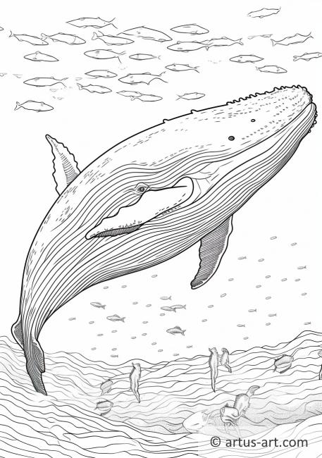 Stránka na vybarvování velryby chřástí